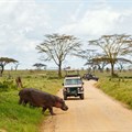 Tanzania's Serengeti voted Best African Safari Park of 2018
