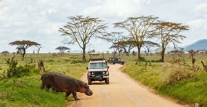 Tanzania's Serengeti voted Best African Safari Park of 2018