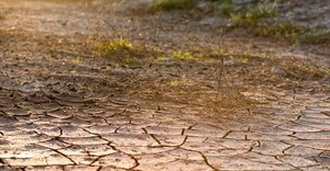 FAO calls for greater resilience against drought in Africa