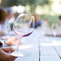 Registration now open for The Business of Wine & Food Tourism Conference