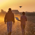 Why agribusinesses see IoT data security as a challenge