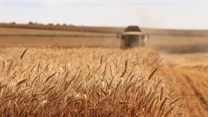 #AgriMarkets: South-western parts of SA could receive above normal rainfall