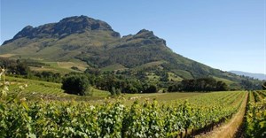 Cape Wine 2018 centre for SA wine producer talent, expertise