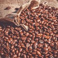 Four million coffee seedlings distributed to farmers