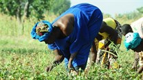 Consider integrated farming - Makgato