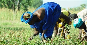 Consider integrated farming - Makgato