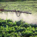 Why it's time to curb widespread use of neonicotinoid pesticides