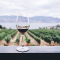 Nedbank renews longstanding Cape Winemakers Guild partnership
