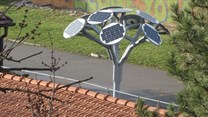 Solar tree project promotes renewable energy in Bašcaršija