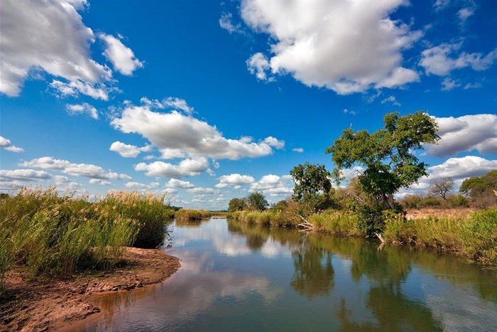via  - Kruger National Park, South Africa, along the Sabie River.