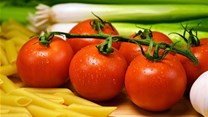 Organic concentrated tomatoes the preferred choice for global markets