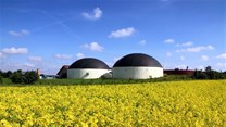 Maximising profitability of biogas plants