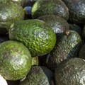 Avocados with edible anti-spoilage coating hit US stores