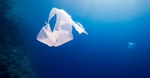 Plastic pollution: could we clean up the ocean with technology?