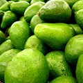 Healthy lifestyle changes impact avocado oil market