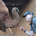 All-women conservation expedition to 'journey with purpose' across southern Africa