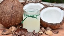 Top 8 coconut importing countries worldwide