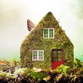 Eco-homes: Building materials of the future