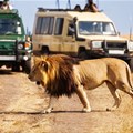 Promotion of Kenya's tourism key to its growth