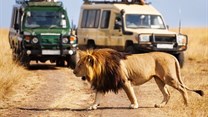 Promotion of Kenya's tourism key to its growth