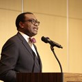 Africa should be the breadbasket of the world says AfDB president