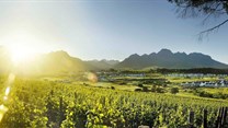 Kleine Zalze: Introducing the best new world producer of the year