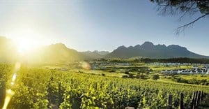 Kleine Zalze: Introducing the best new world producer of the year