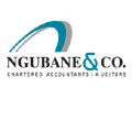Ngubane & Co. invites you to the 4th Industrial Revolution and Cyber Security panel discussion
