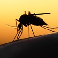 Developing new malaria drugs before its too late