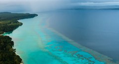 Marine parks protect fragile ecosystems, like coral reefs. Justin Rizzari