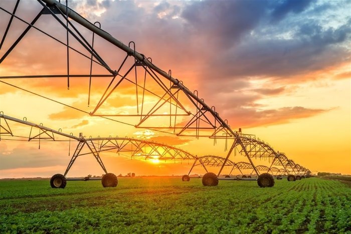 African agriculture has a lot to gain from increased access to big data