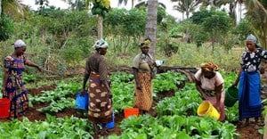 Focusing on women and youth to transform agriculture