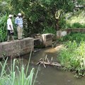 How Africa can up its game on water management for agriculture