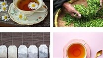 Is SA's tea industry 'everyone's cup of tea'?