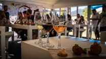 40 wine estates to showcase Stellenbosch at LIVEin Joburg
