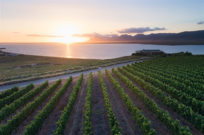 Benguela Cove: more than just a wine farm