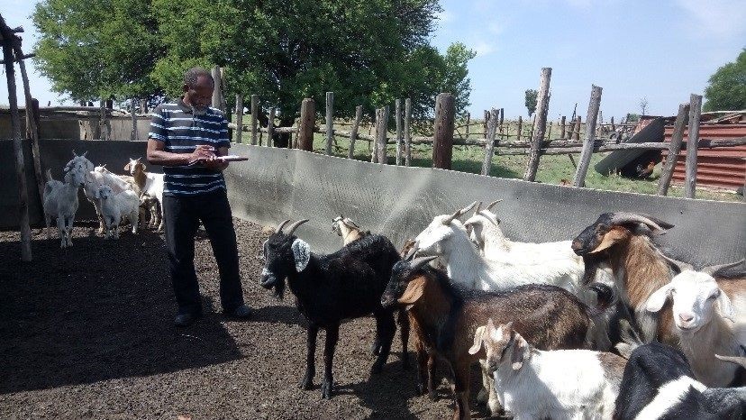 Empowering small, subsistence farmers in SA