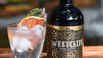 Finalists revealed for Sunday Times Lifestyle Gin Awards