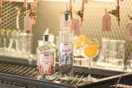 Radisson Red launches new botanical gin blending bar