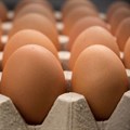 Call for Famous Brands to commit to cage-free eggs