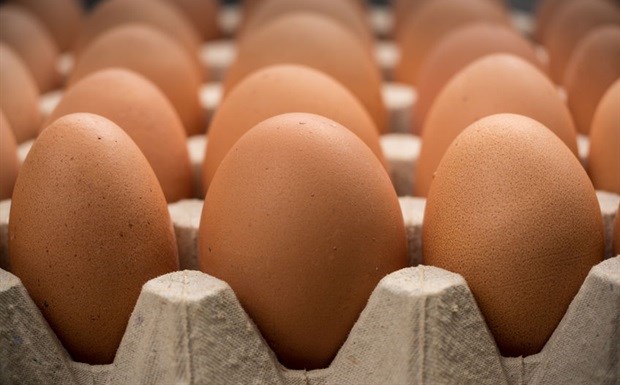 Call for Famous Brands to commit to cage-free eggs
