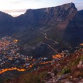 Jamms enters bid for Western Cape tourism recovery plan