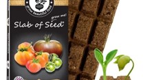 Snap, plant, grow - veggie gardening made simple with Sow Delicious