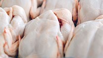Agricultural safeguard levy on poultry could impact SA consumers negatively