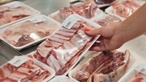 NERPO calls on government funding to support SA meat trade concerns