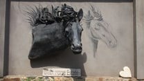 Meet the Maker: Marius Bezuidenhout of Black Horse