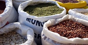 Addressing Nigeria's insignificant contribution to global seed trade