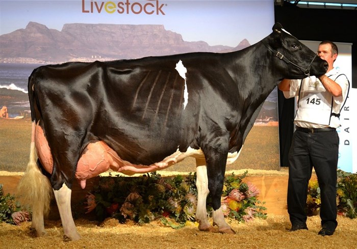 Agri-Expo Livestock,  Groot Plaasproe a gateway to agriculture value chains