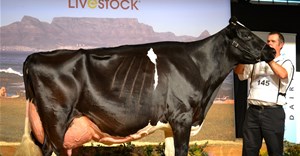 Agri-Expo Livestock,  Groot Plaasproe a gateway to agriculture value chains