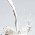 Organic milk accounts for 30% revenue share in emerging markets